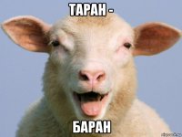 таран - баран