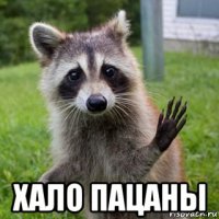  хало пацаны