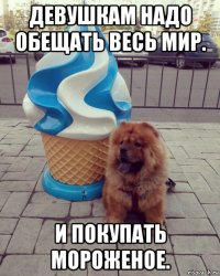 девушкам надо обещать весь мир. и покупать мороженое.