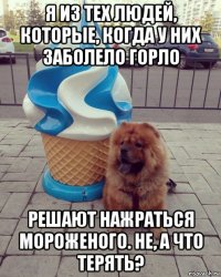 я из тех людей, которые, когда у них заболело горло решают нажраться мороженого. не, а что терять?