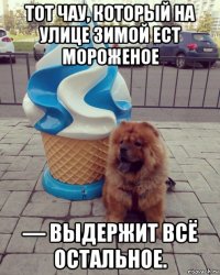 тот чау, который на улице зимой ест мороженое — выдержит всё остальное.