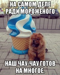 на самом деле ради мороженого наш чау-чау готов на многое.