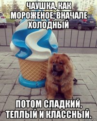 чаушка, как мороженое, вначале холодный потом сладкий, теплый и классный.