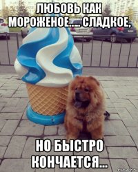 любовь как мороженое….. сладкое, но быстро кончается…