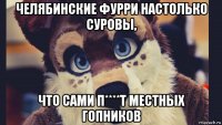 челябинские фурри настолько суровы, что сами п****т местных гопников