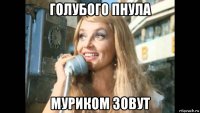 голубого пнула муриком зовут