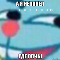 а я непонел где овчы