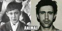  animal
