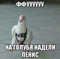 ффуууууу на голубя надели пенис