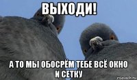 выходи! а то мы обосрём тебе всё окно и сетку