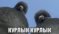  курлык курлык