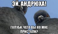 эй, андрюха! голуби, чего вы ко мне пристали?