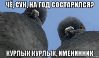 чё, сук, на год состарился? курлык курлык, именинник