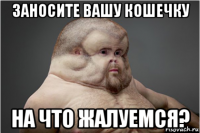заносите вашу кошечку на что жалуемся?