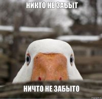 НИКТО НЕ ЗАБЫТ НИЧТО НЕ ЗАБЫТО