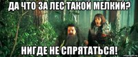да что за лес такой мелкий? нигде не спрятаться!
