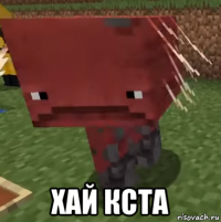  хай кста