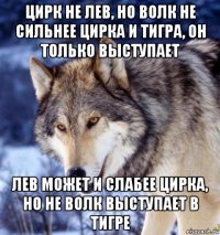 цирк не лев, но волк не сильнее цирка и тигра, он только выступает лев может и слабее цирка, но не волк выступает в тигре