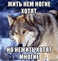 жить нем ногие хотят но нежить хотят многие