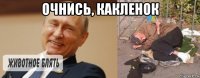 очнись, какленок 