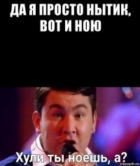 да я просто нытик, вот и ною 