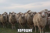  хорошие