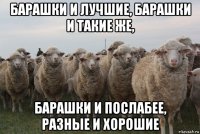 барашки и лучшие, барашки и такие же, барашки и послабее, разные и хорошие