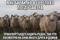 я не баран, но в горелово поеду завтра транспорт будет ходить редко, так что посмотрю на окна моего друга и домой