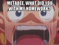 metabee, what did you with my homework? 