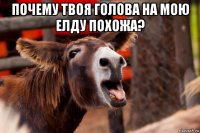 почему твоя голова на мою елду похожа? 