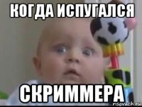 когда испугался скриммера
