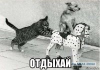  отдыхай