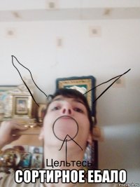  сортирное ебало