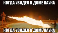 когда увидел в доме паука когда увидел в доме паука