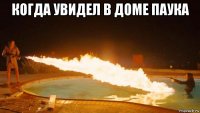 когда увидел в доме паука 