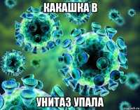 какашка в унитаз упала