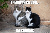 тренируйся вон... на кошках