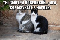ты смотри новенький...- ага, уже мяукает в наглую 