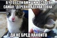 а что если амиши и есть та самая "деревня адекватовка" да не бред какойто