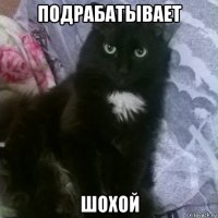 подрабатывает шохой