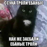ссука троли ебаные как же заебали ебаные троли