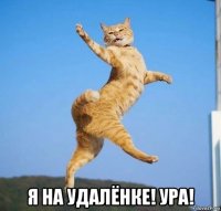  я на удалёнке! ура!