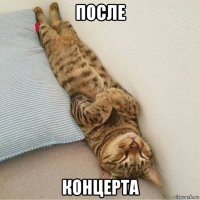 после концерта