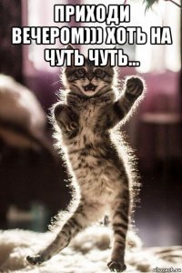 приходи вечером))) хоть на чуть чуть... 