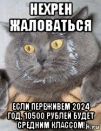 нехрен жаловаться если переживем 2024 год, 10500 рублей будет средним классом!