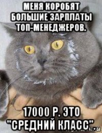 меня коробят большие зарплаты топ-менеджеров. 17000 р. это "средний класс".