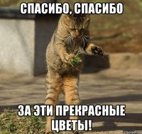 спасибо, спасибо за эти прекрасные цветы!