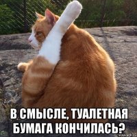  в смысле, туалетная бумага кончилась?