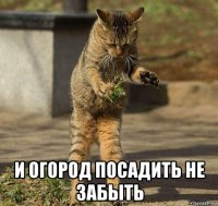  и огород посадить не забыть