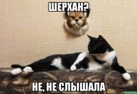 шерхан? не, не слышала